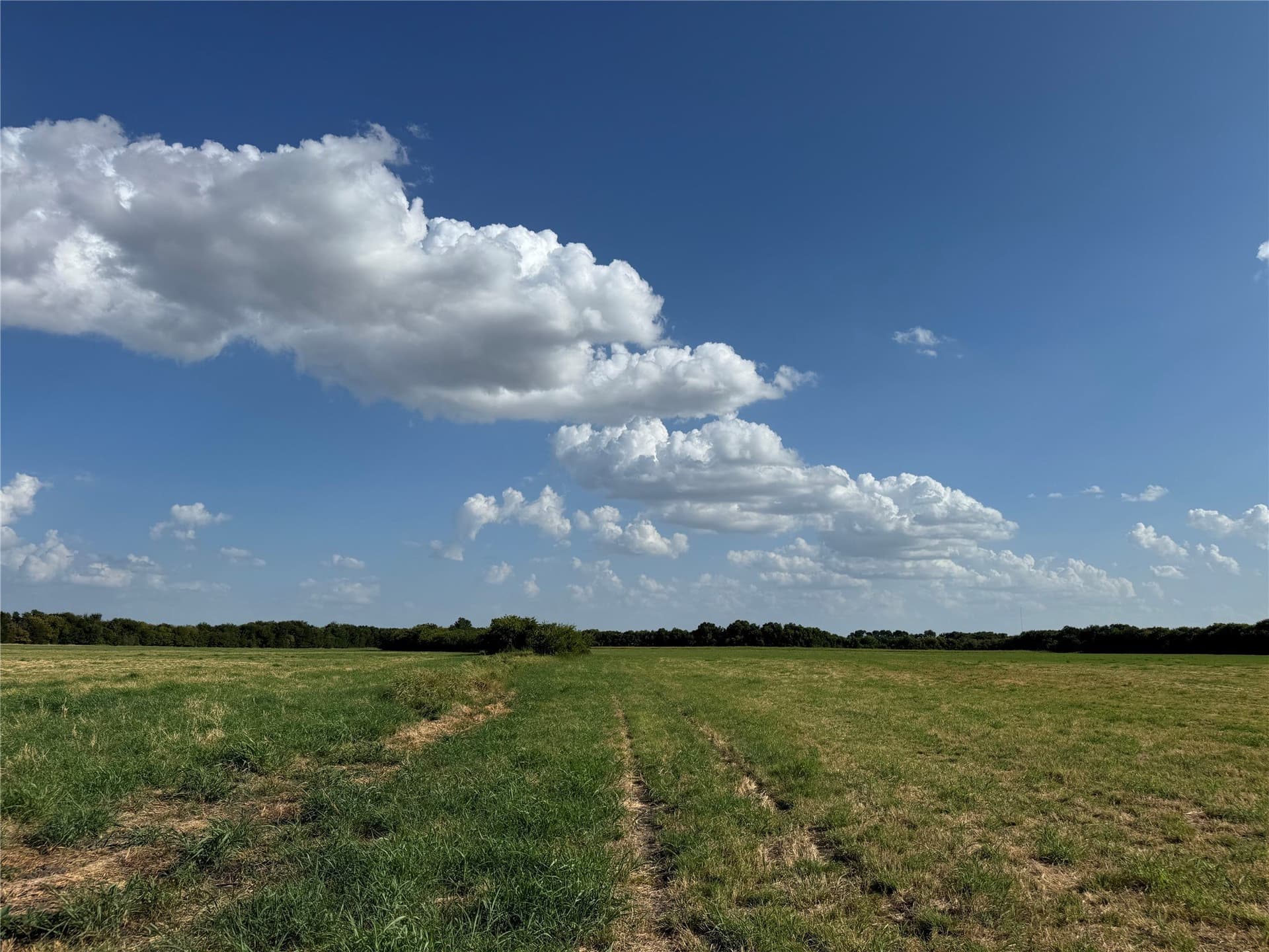 13.11 acres in Fannin County - photo 19
