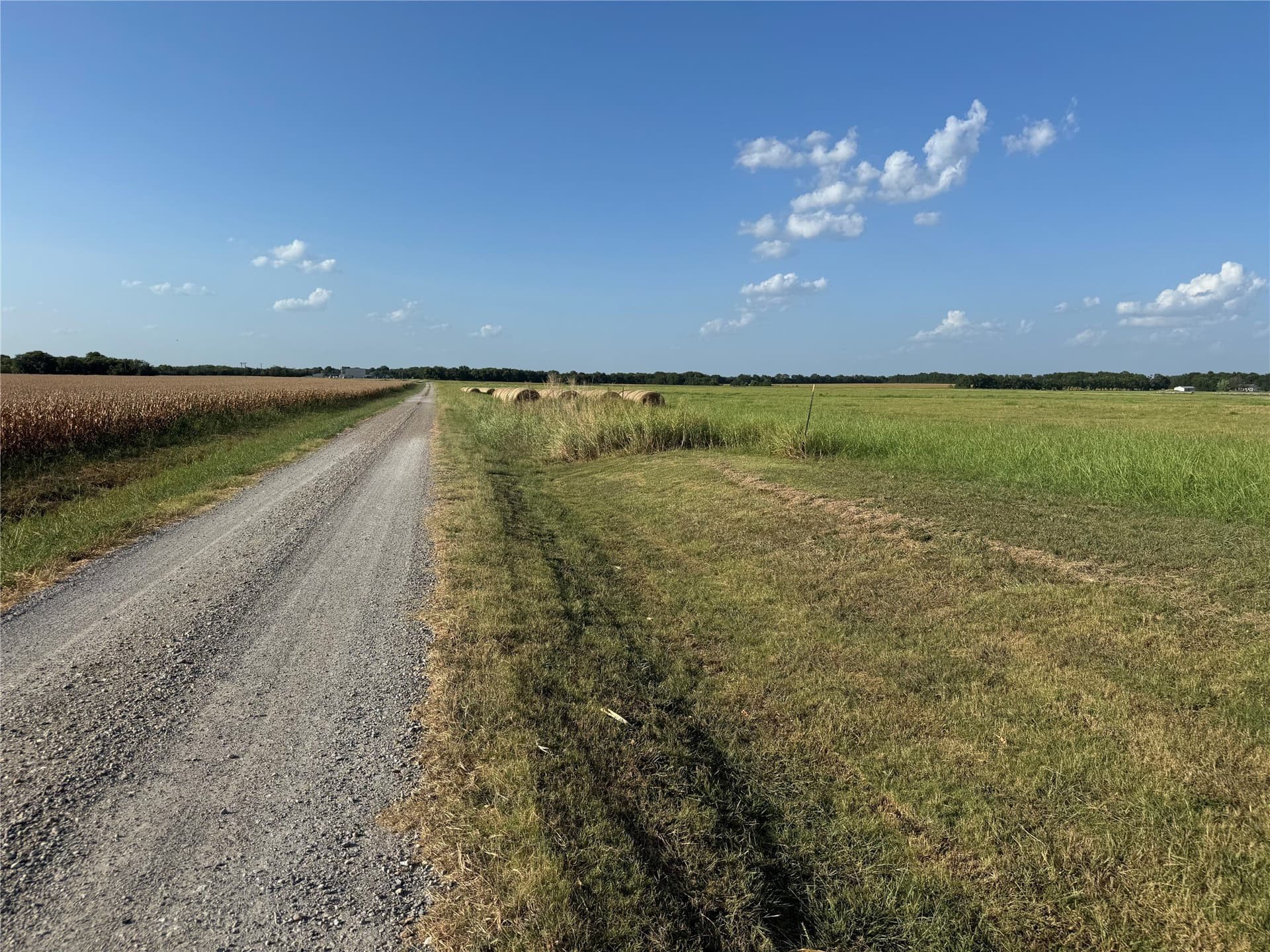 13.11 acres in Fannin County - photo 11