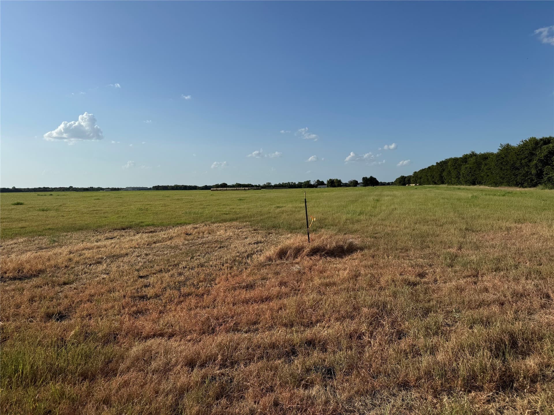 13.11 acres in Fannin County - photo 31