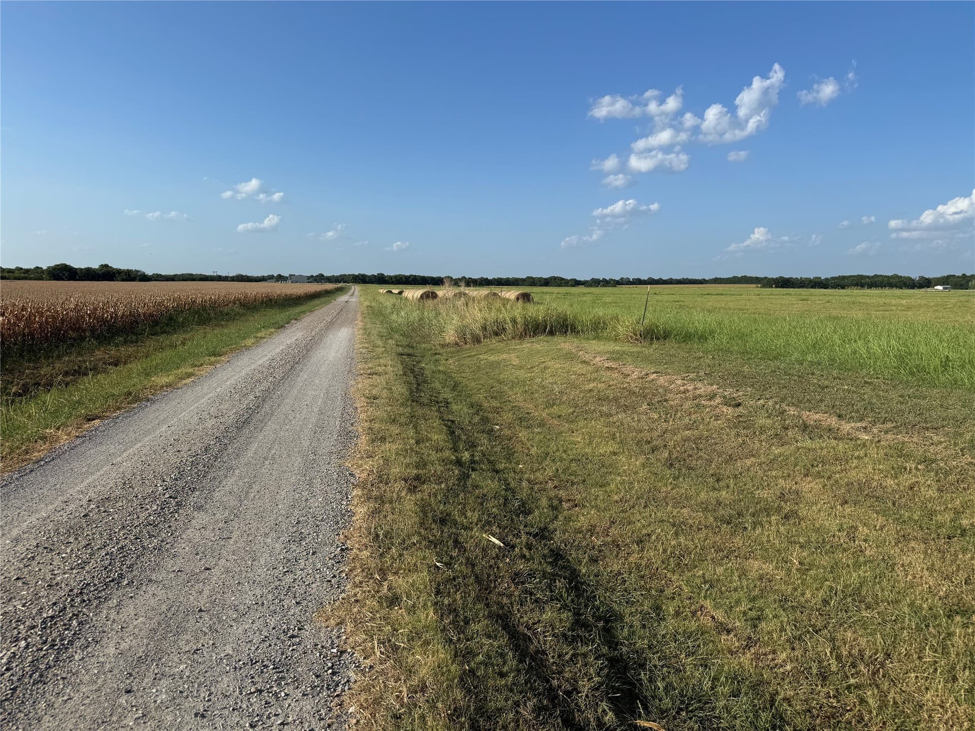 13.11 acres in Fannin County - photo 13