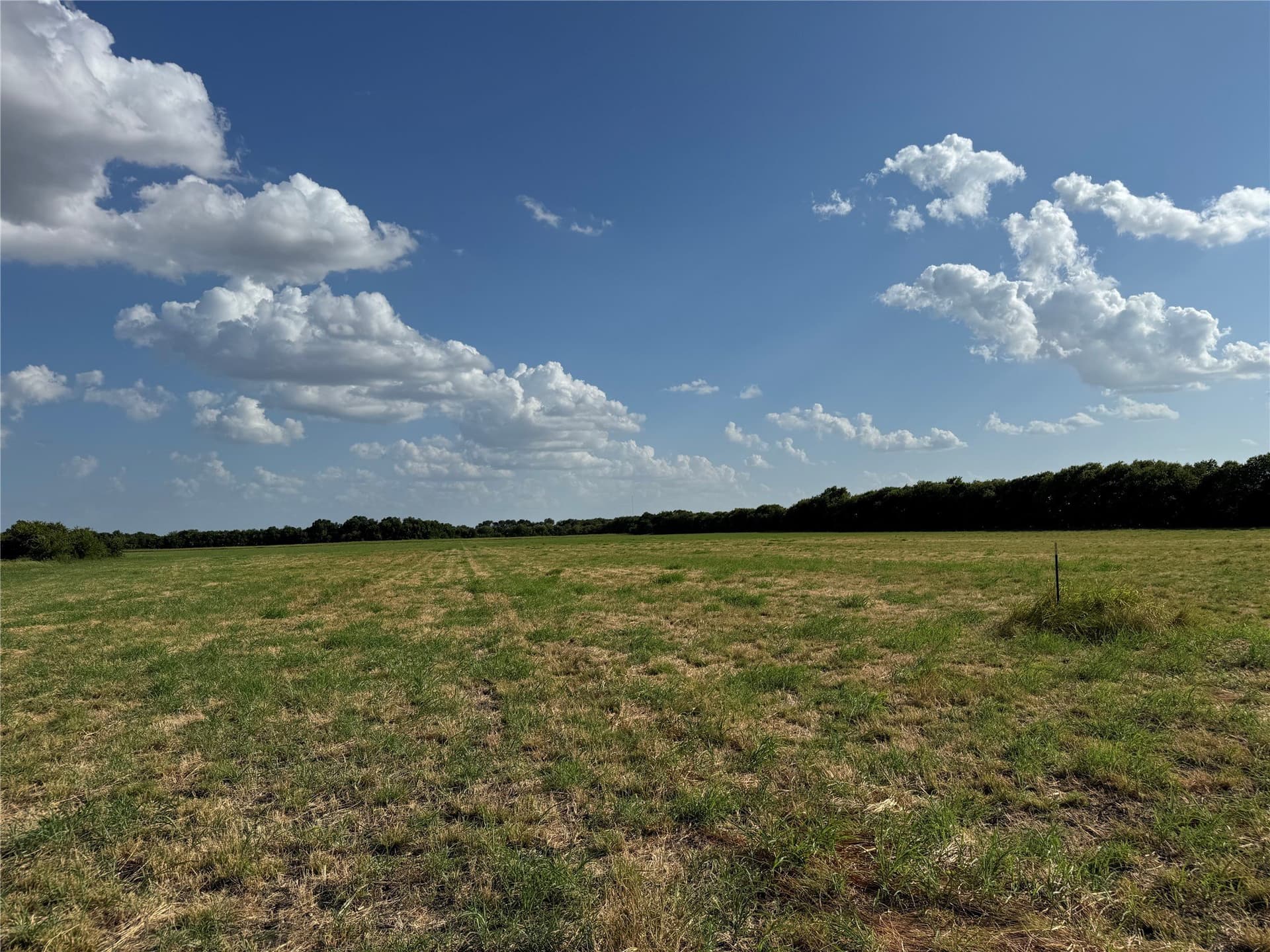 13.11 acres in Fannin County - photo 18