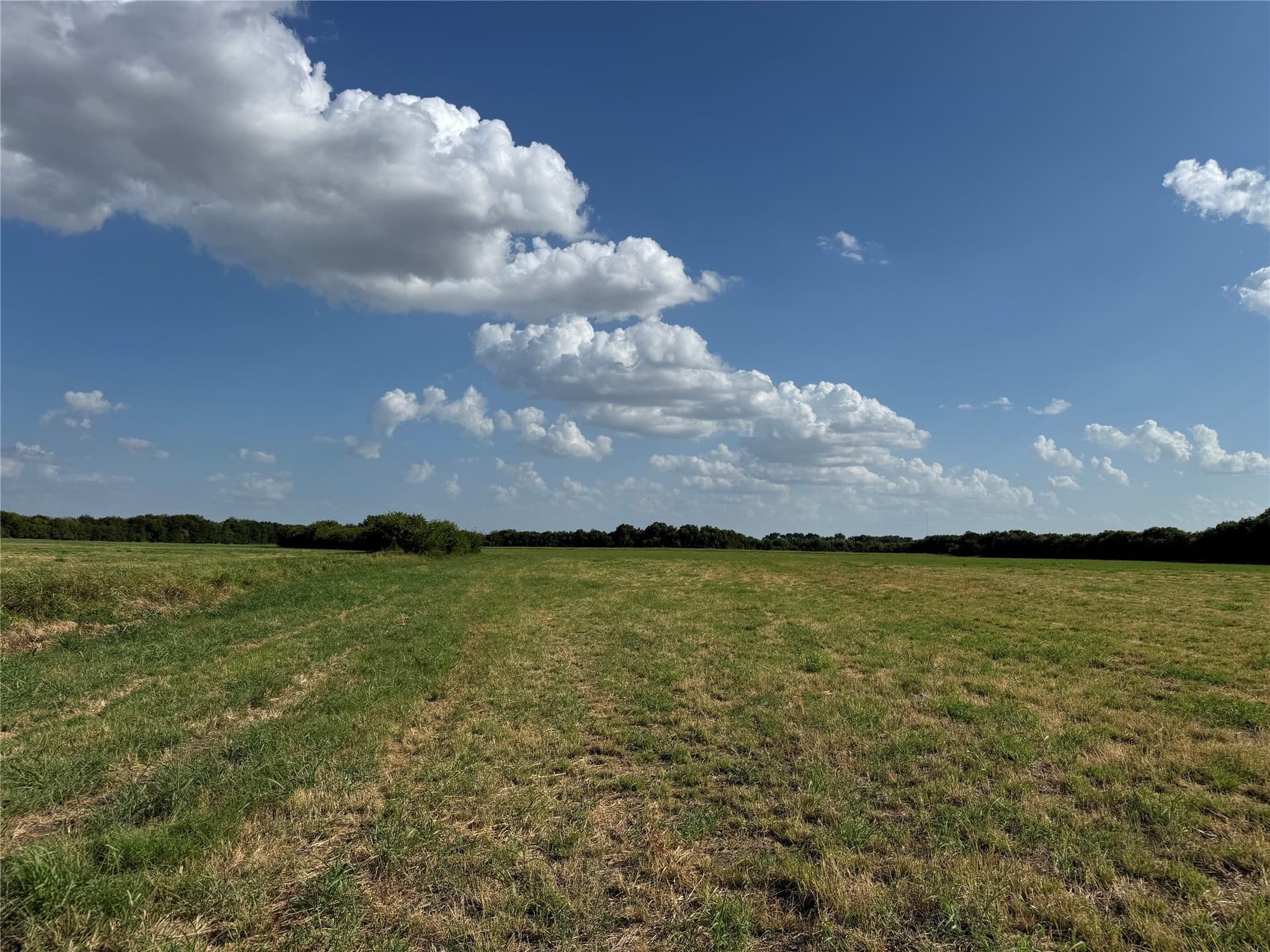 13.11 acres in Fannin County - photo 22