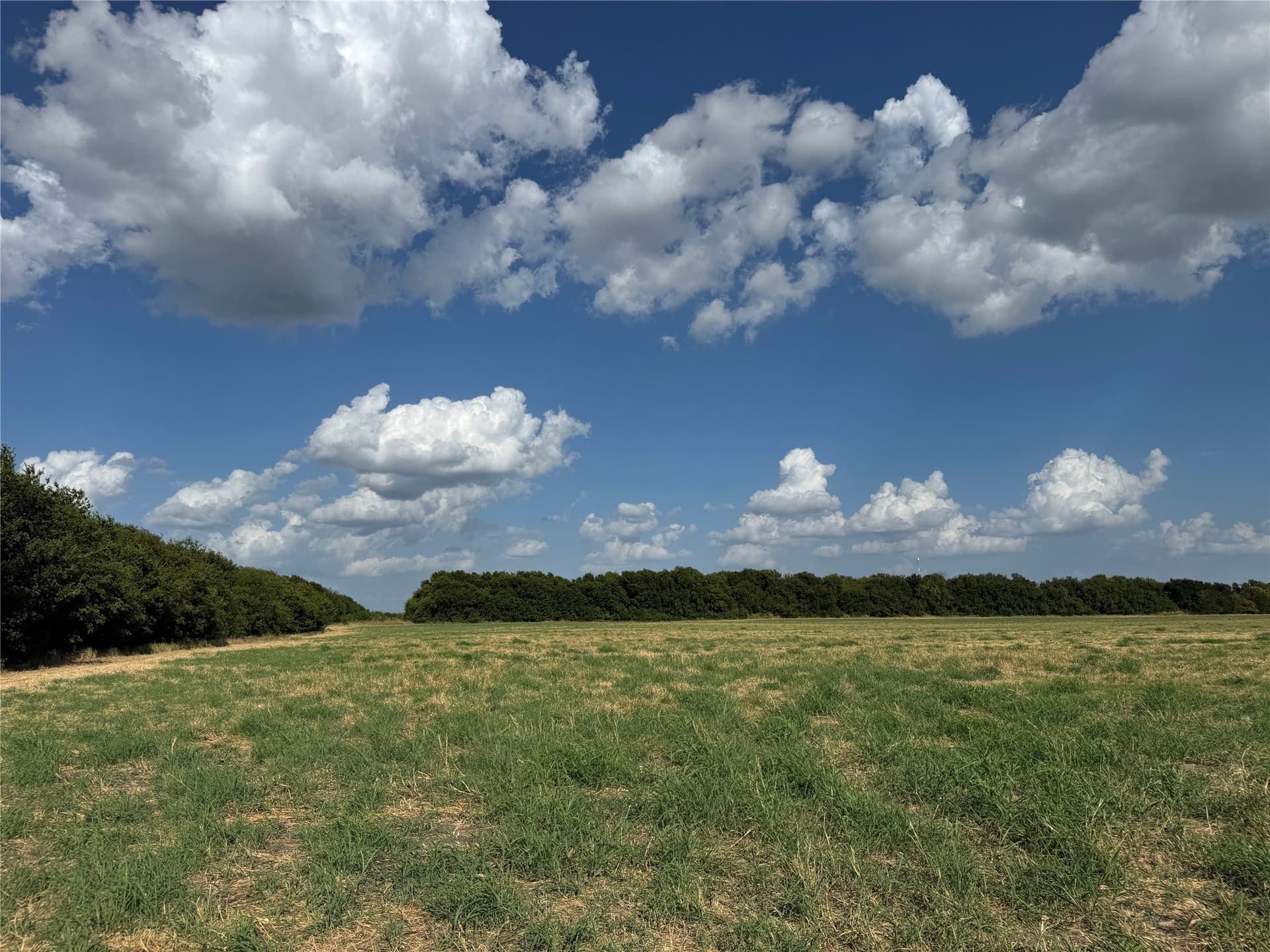 13.11 acres in Fannin County - photo 14