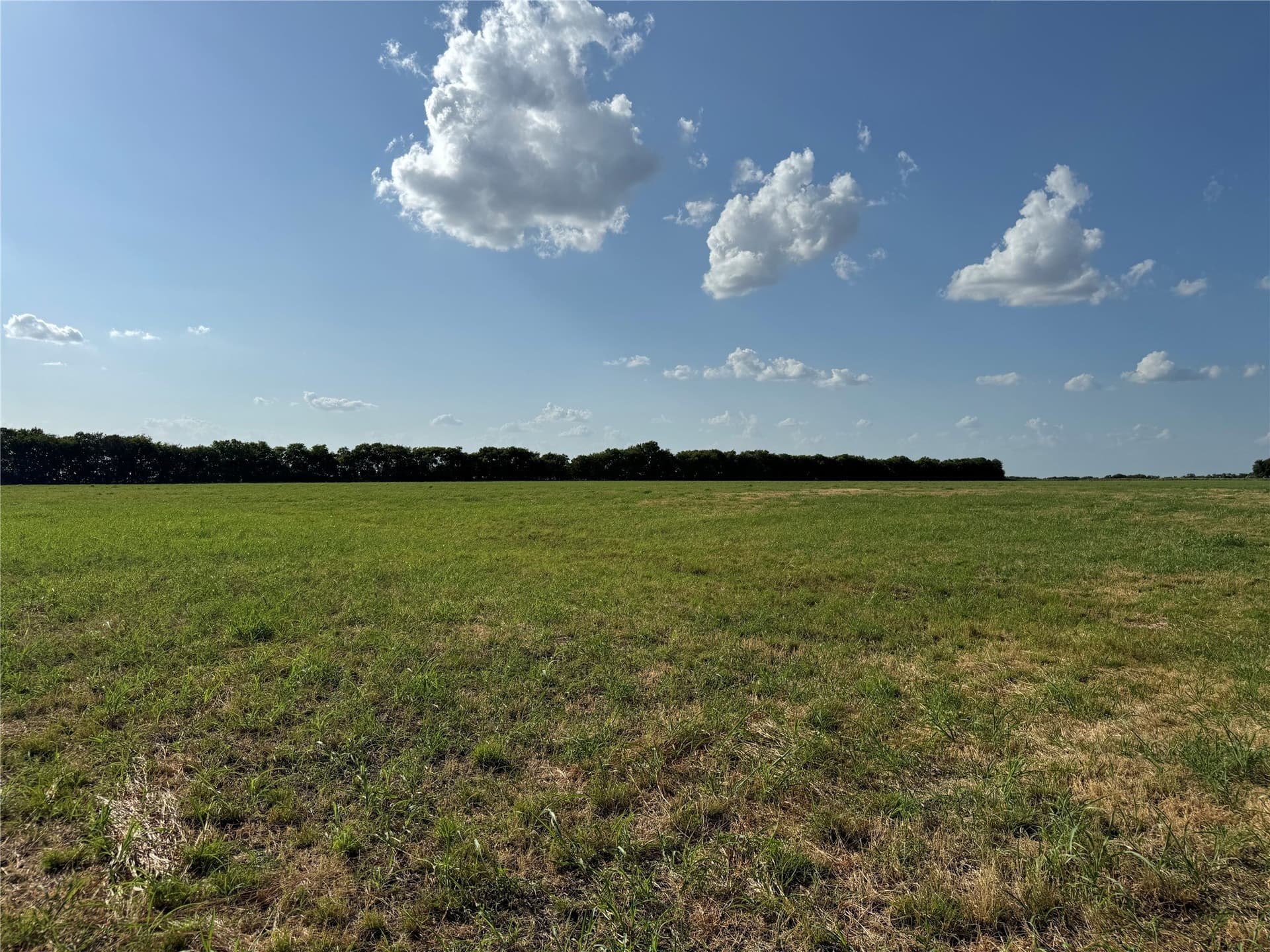 13.11 acres in Fannin County - photo 25
