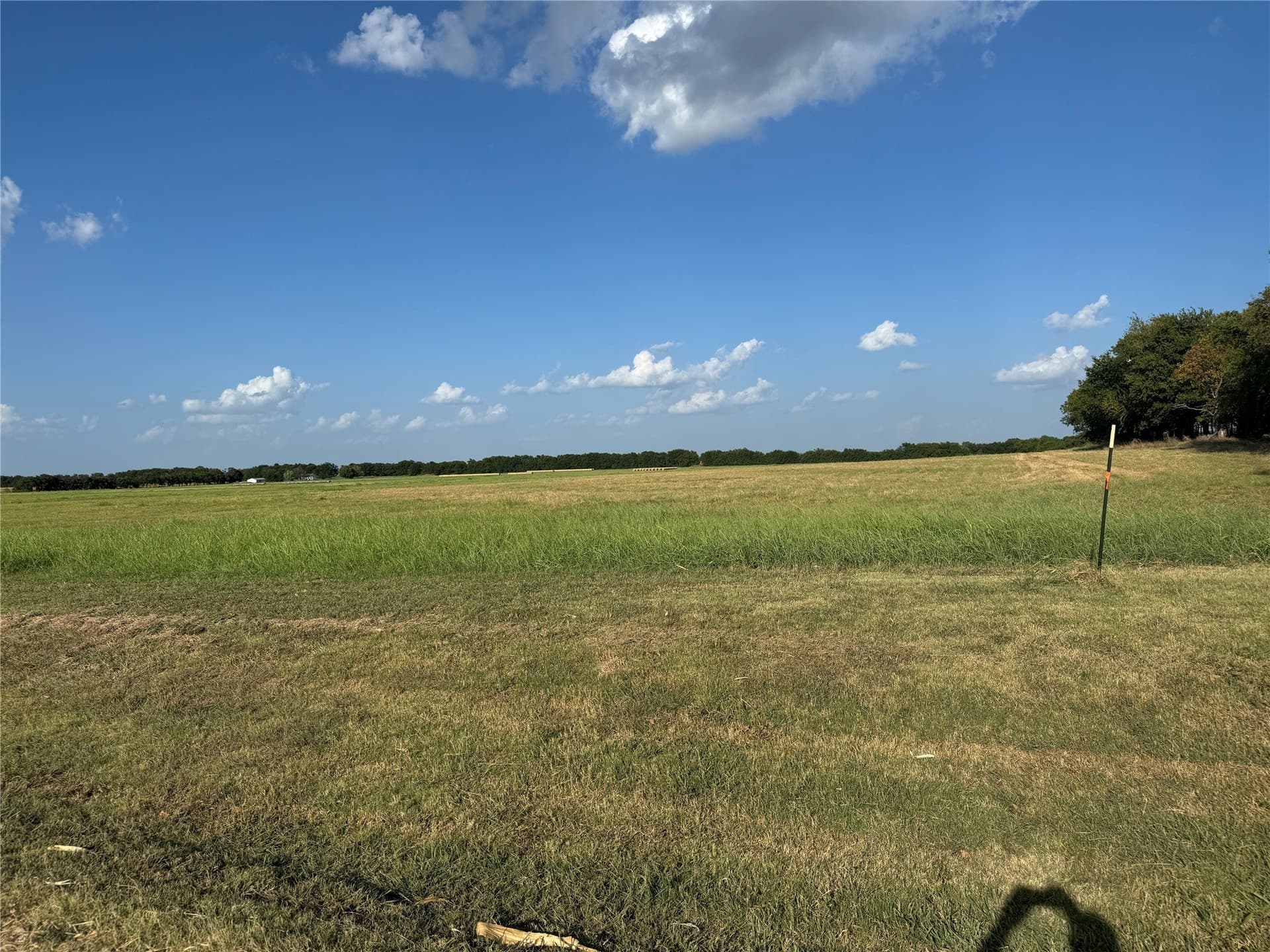 13.11 acres in Fannin County - photo 10