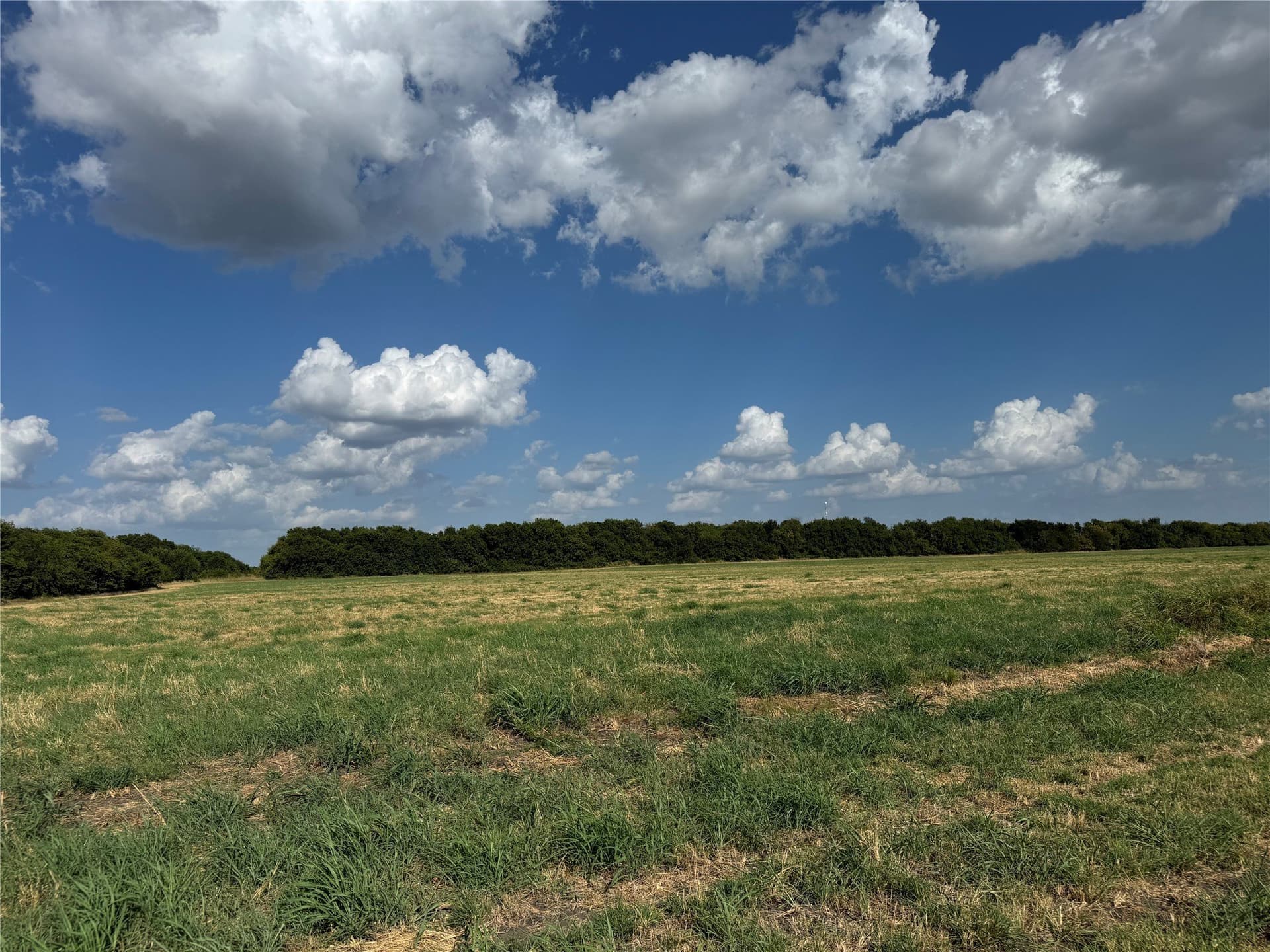 13.11 acres in Fannin County - photo 15