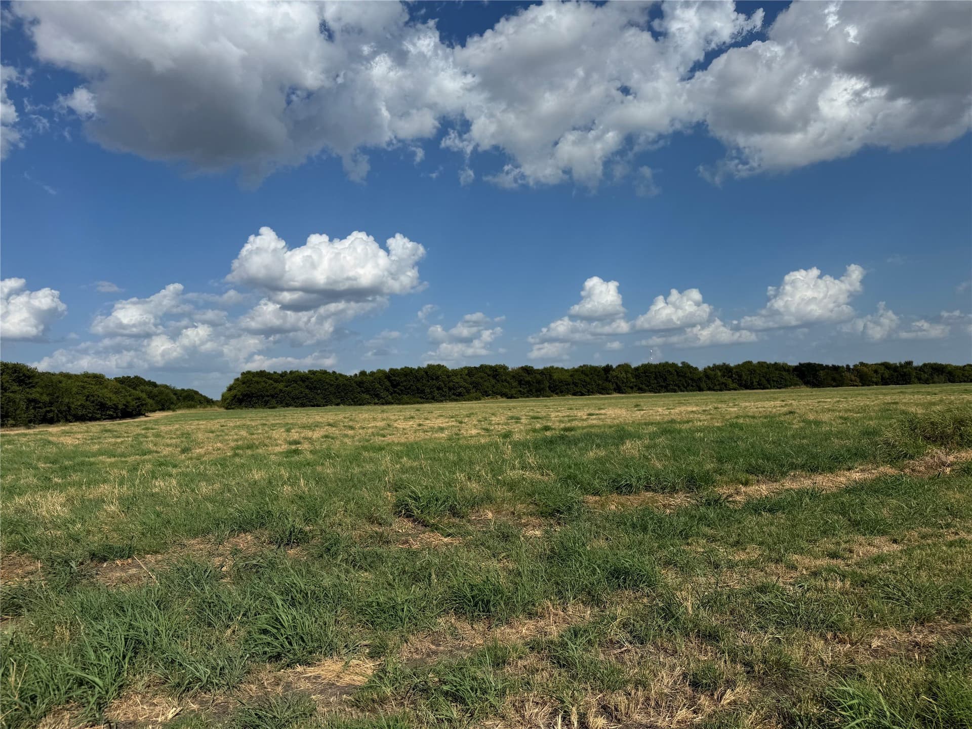 13.11 acres in Fannin County - photo 16