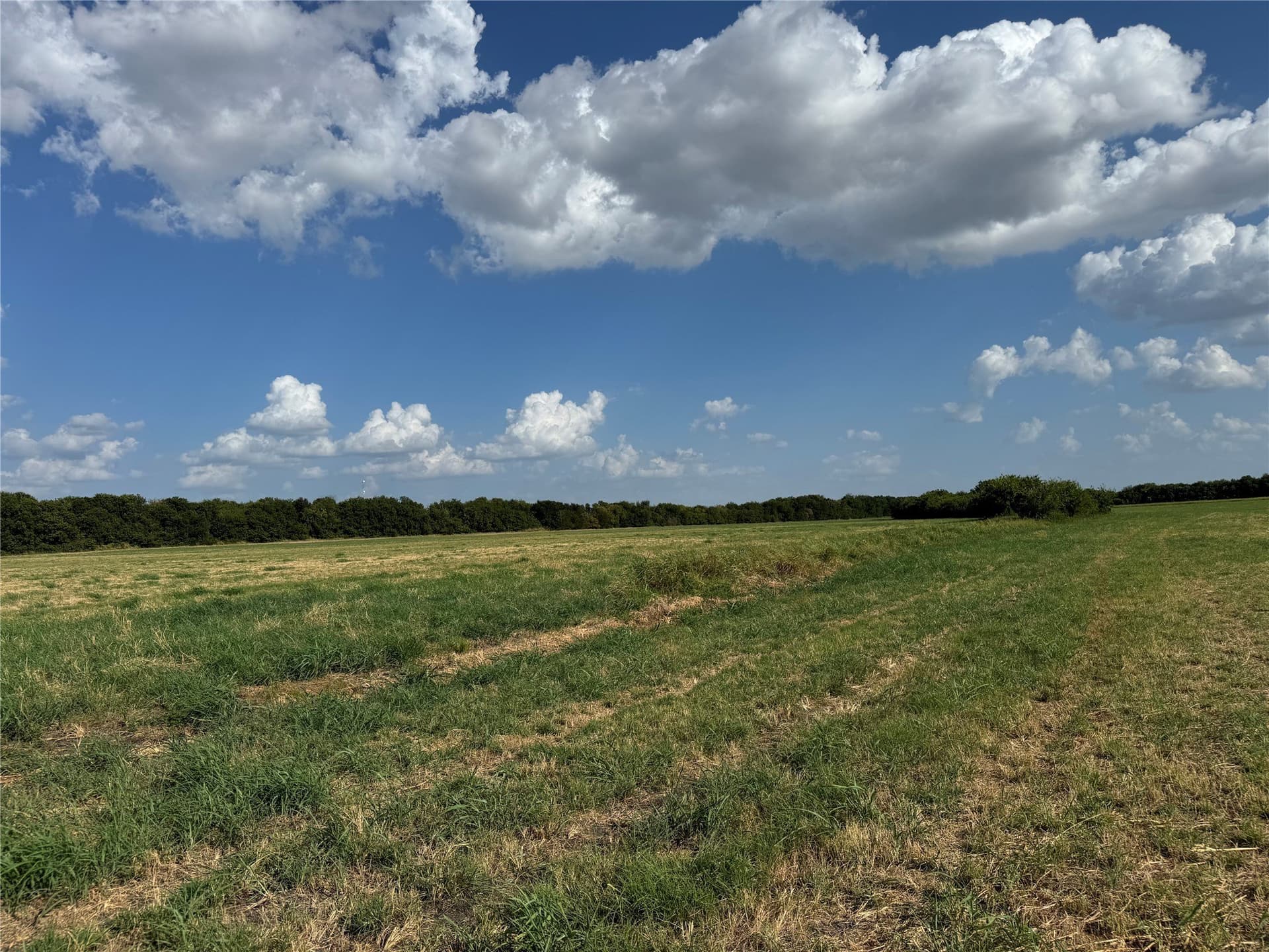 13.11 acres in Fannin County
