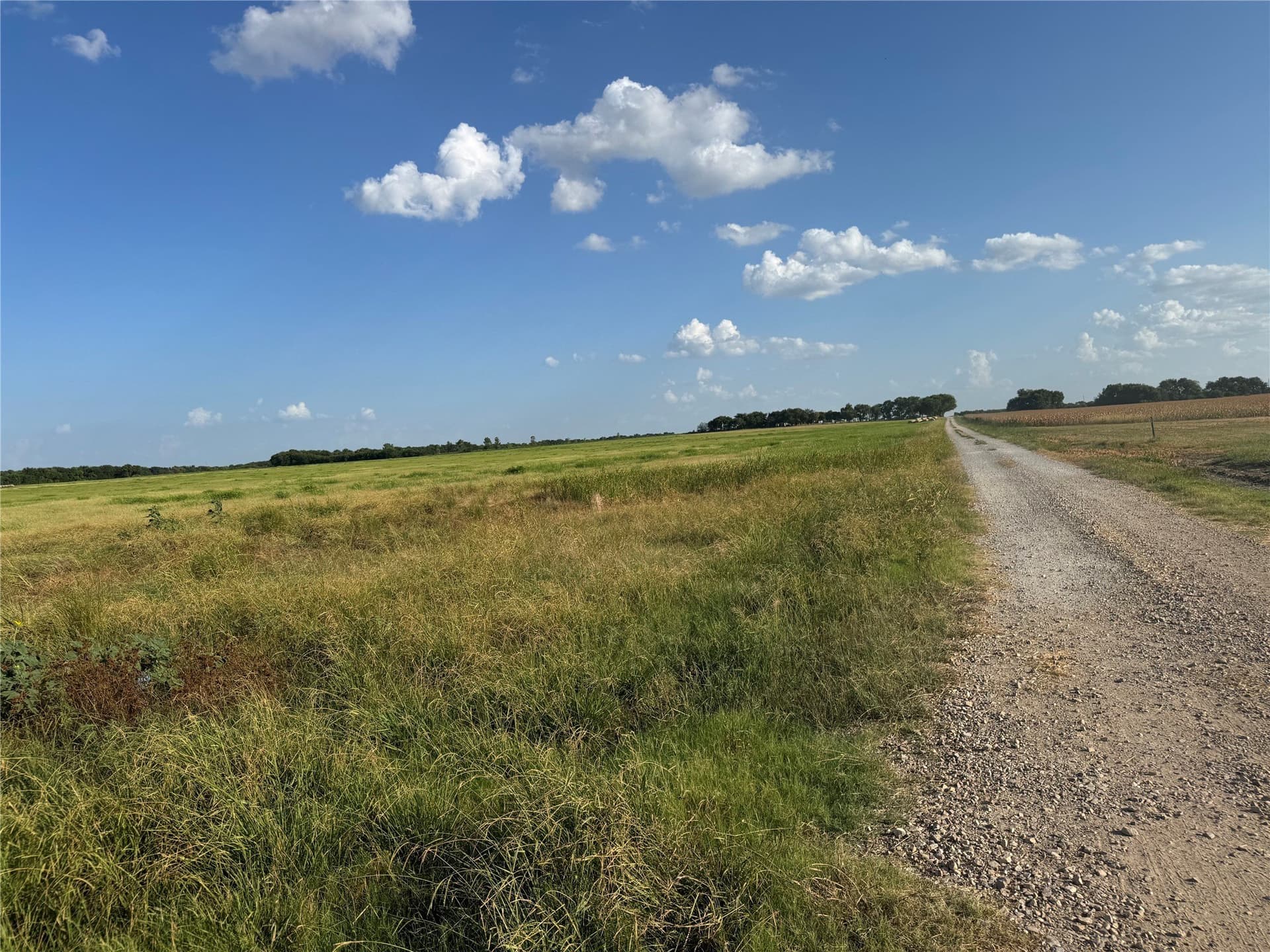 13.11 acres in Fannin County - photo 6