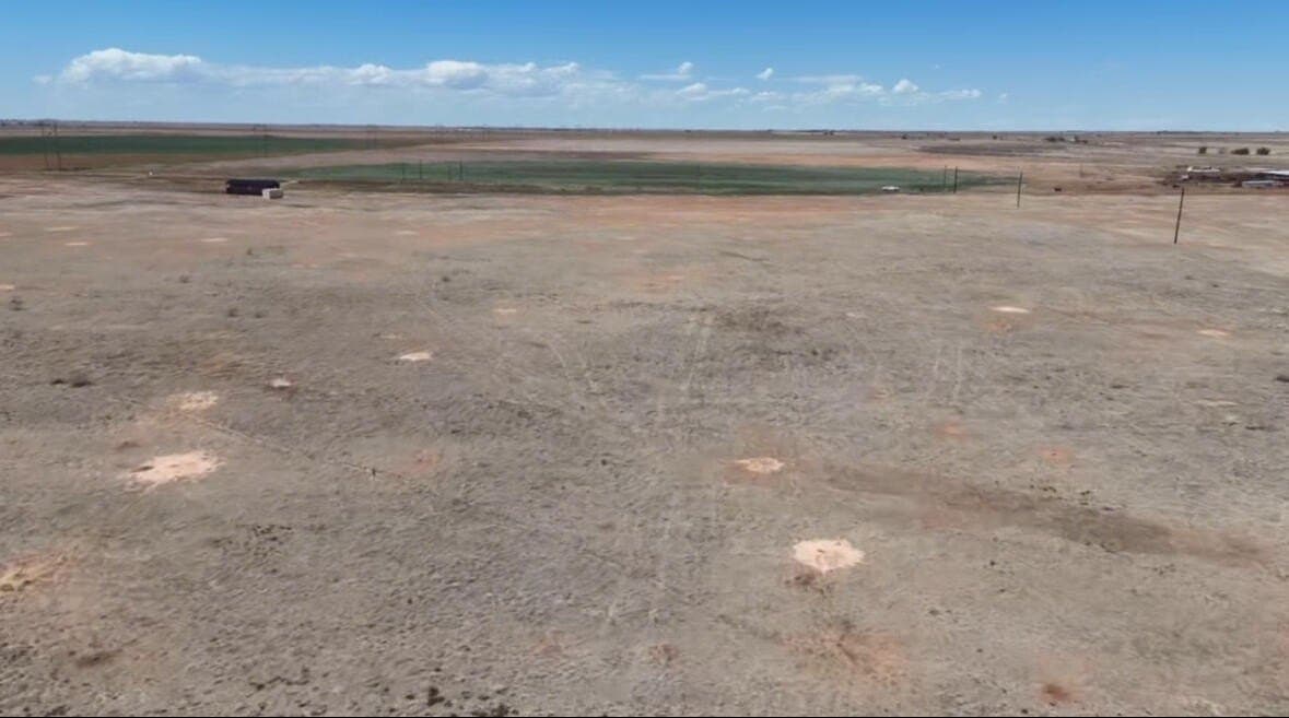 10.01 acres in Hale County