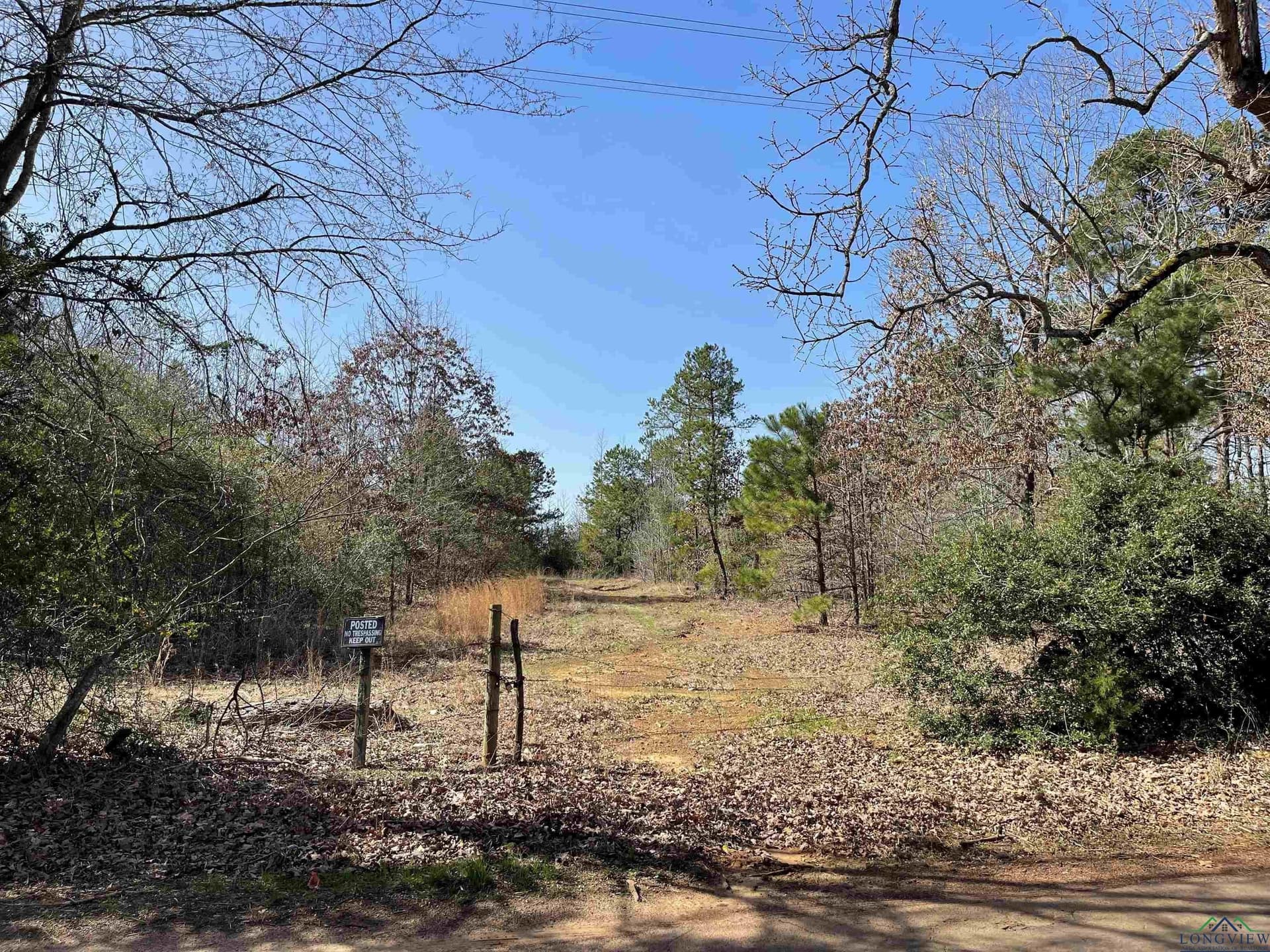 65 acres in Texas County