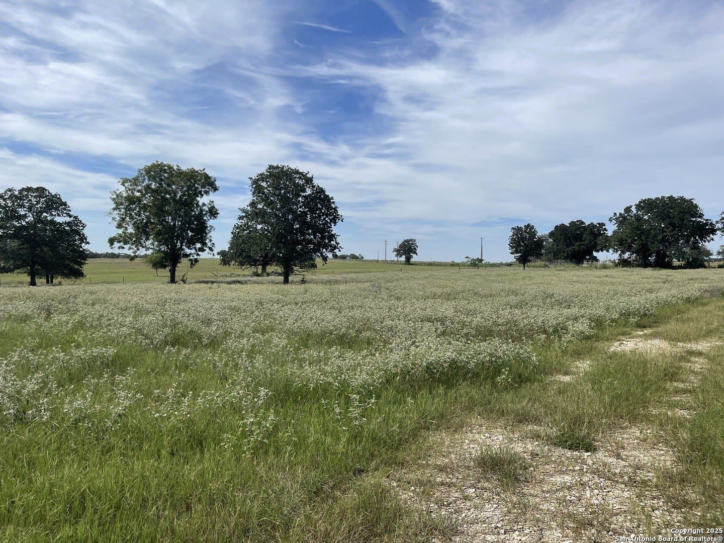 39.9 acres in Gonzales County gallery image 3