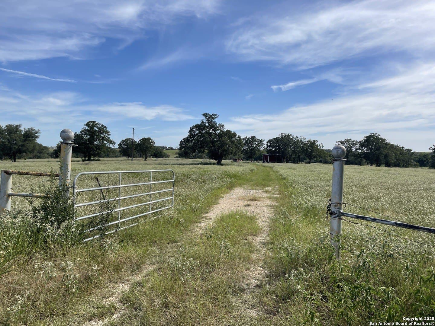 39.9 acres in Gonzales County gallery image 4