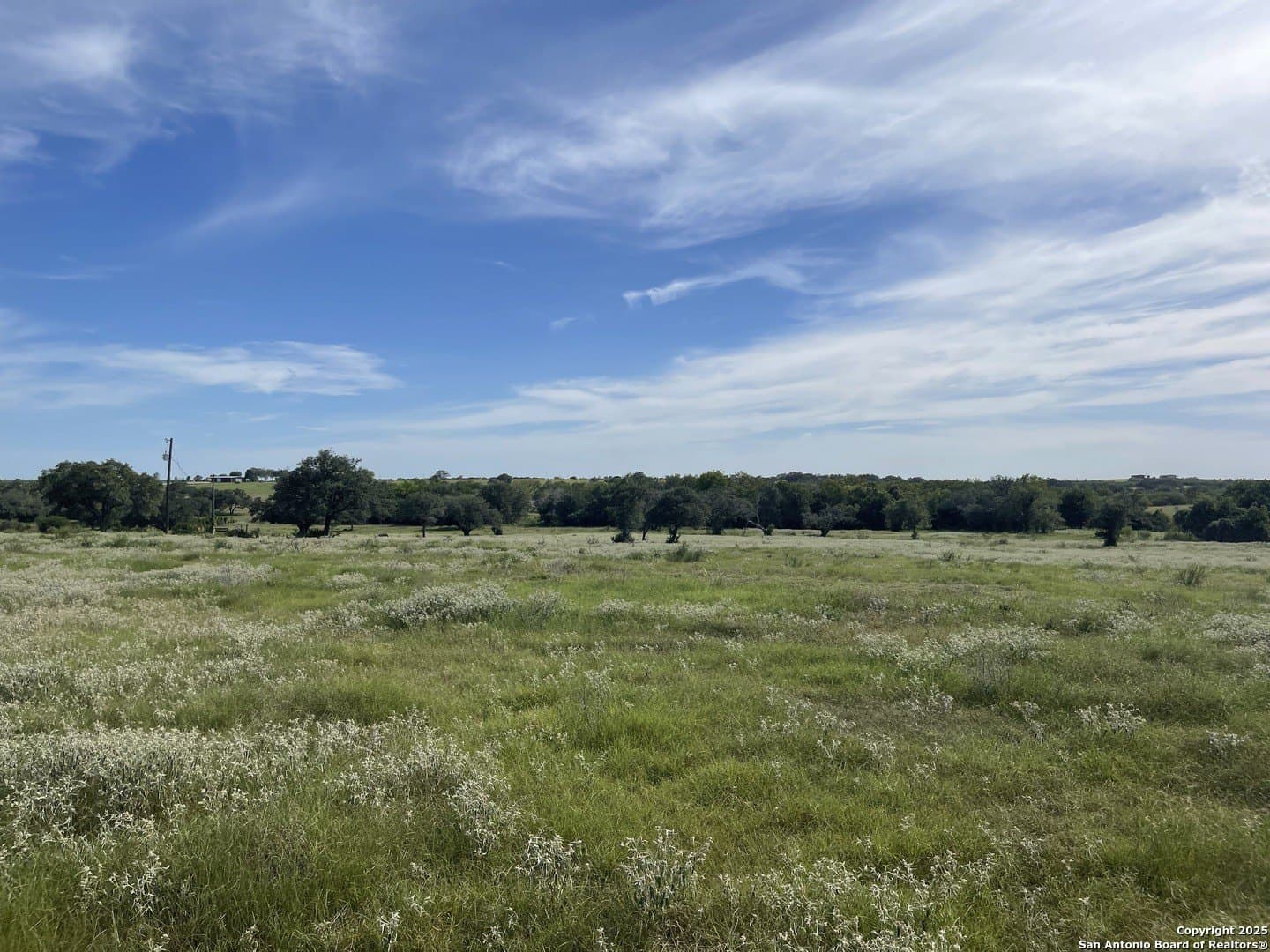 39.9 acres in Gonzales County featured view
