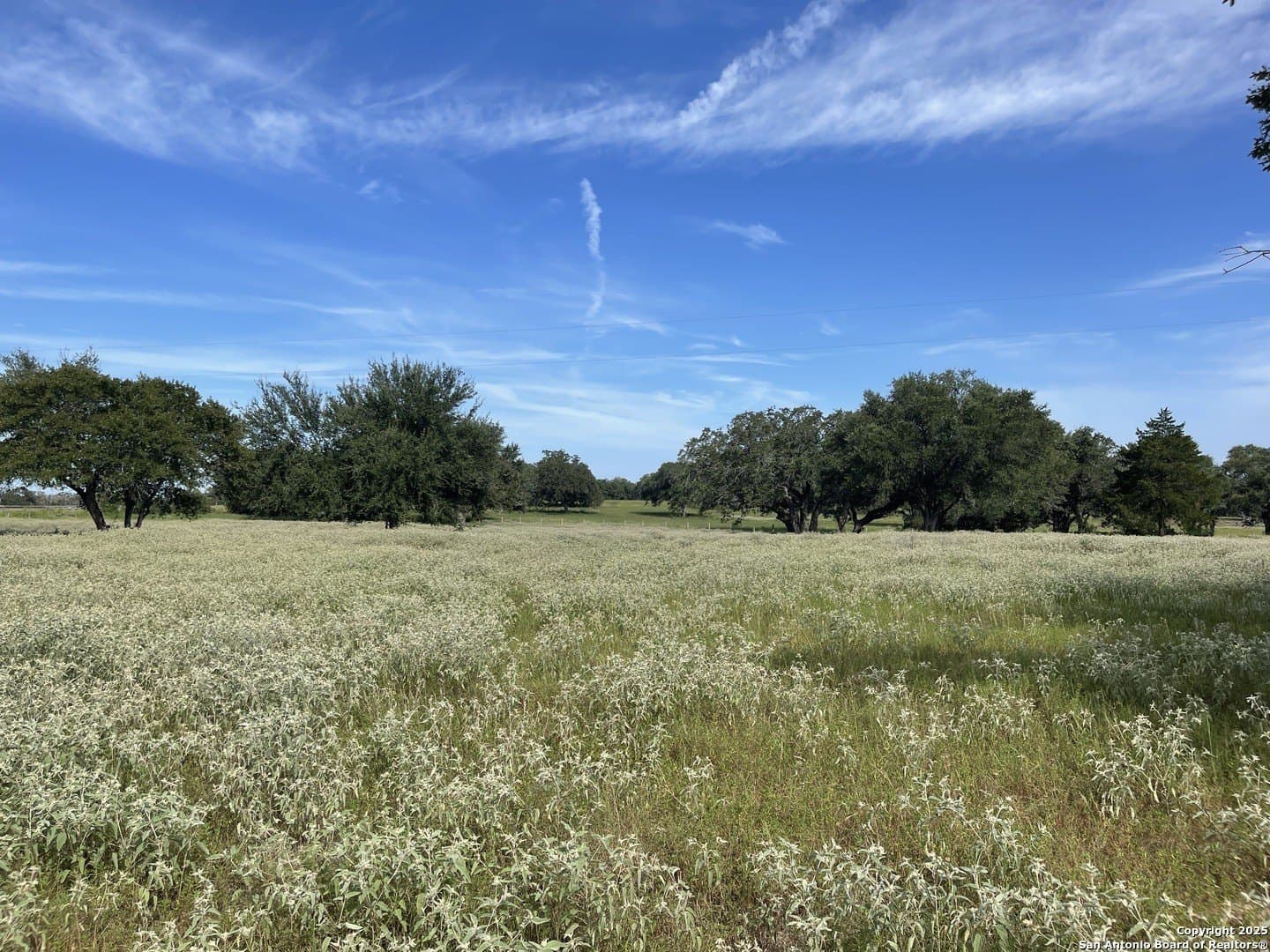 39.9 acres in Gonzales County