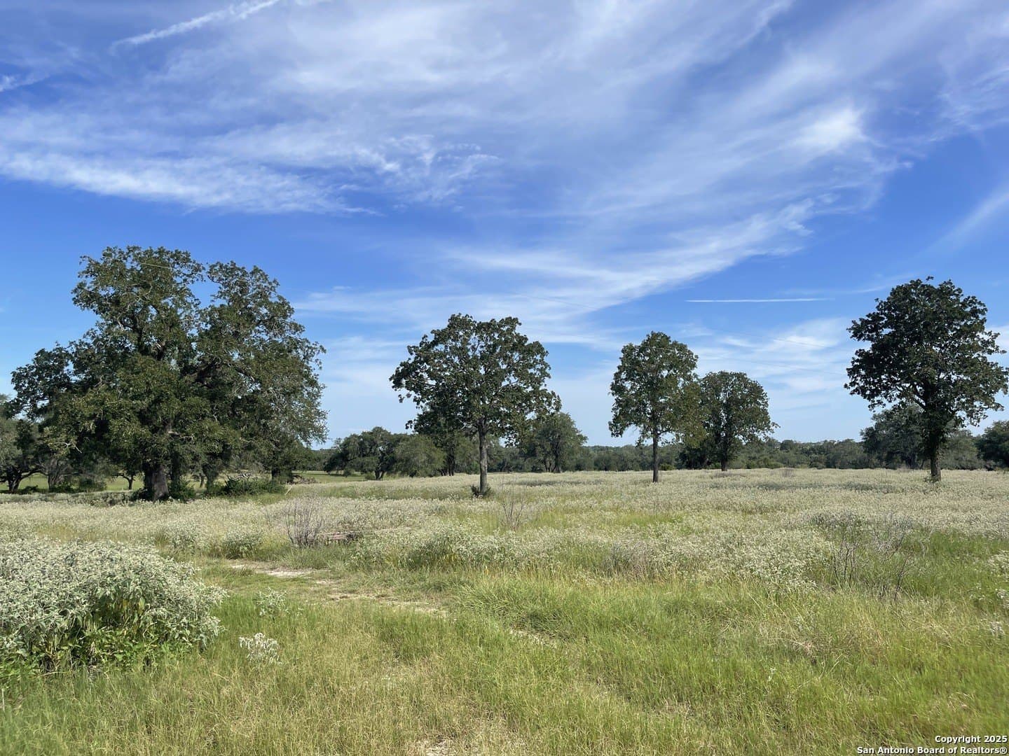 39.9 acres in Gonzales County gallery image 2