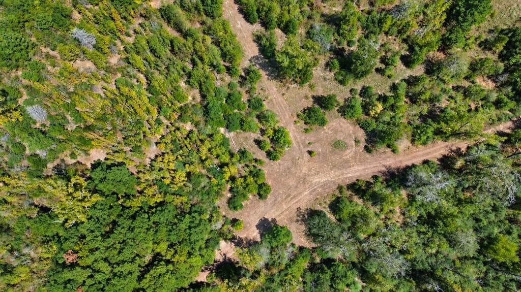 51.13 acres in Texas County - photo 10