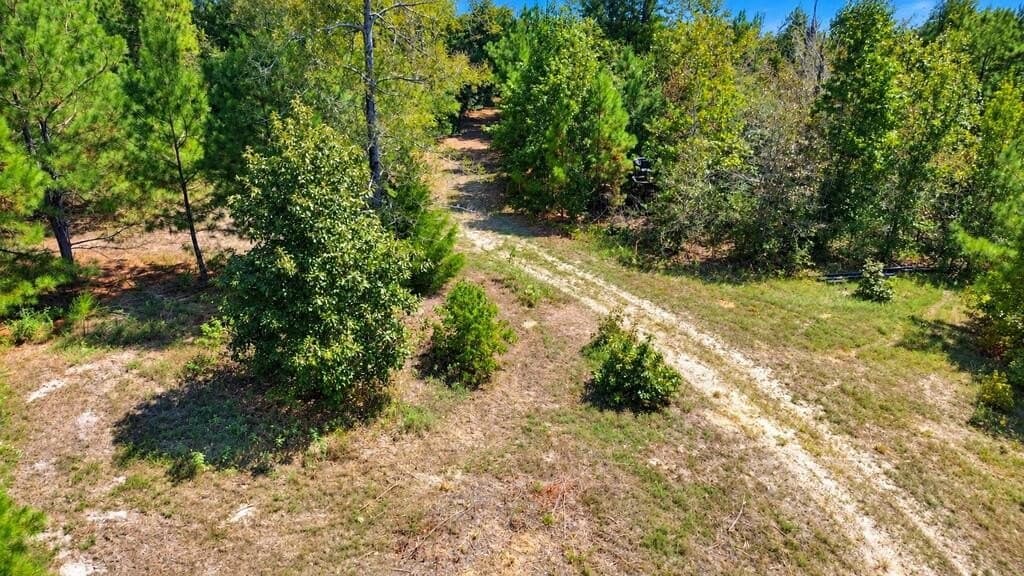 51.13 acres in Texas County - photo 12