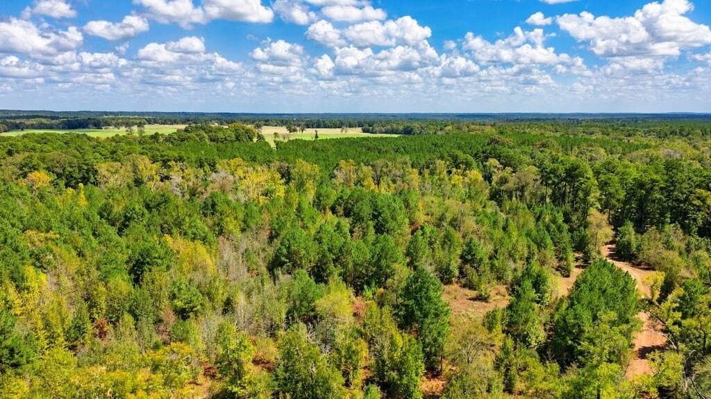 51.13 acres in Texas County - photo 9