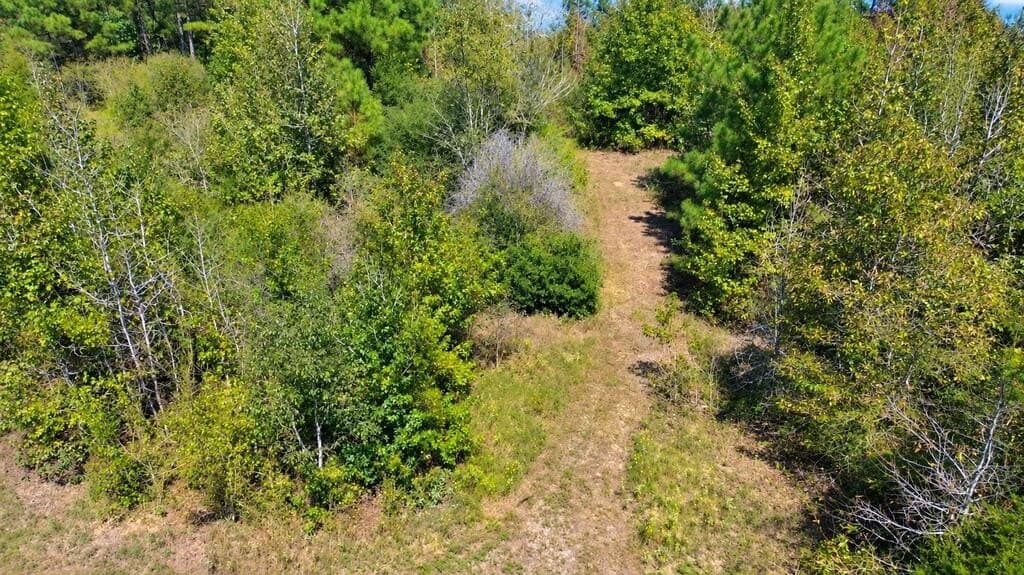 51.13 acres in Texas County - photo 11