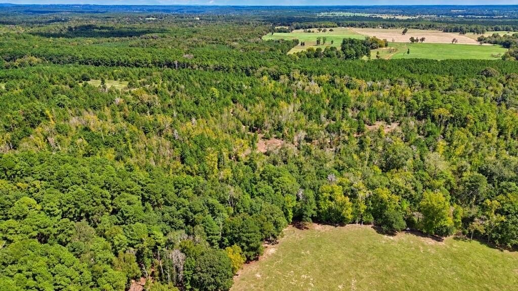 51.13 acres in Texas County - photo 4