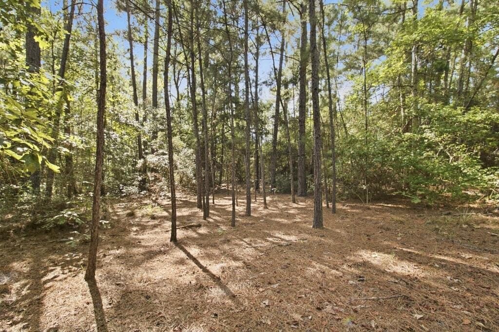 51.13 acres in Texas County - photo 19