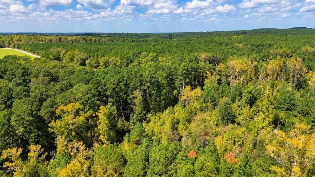 51.13 acres in Texas County - photo 3