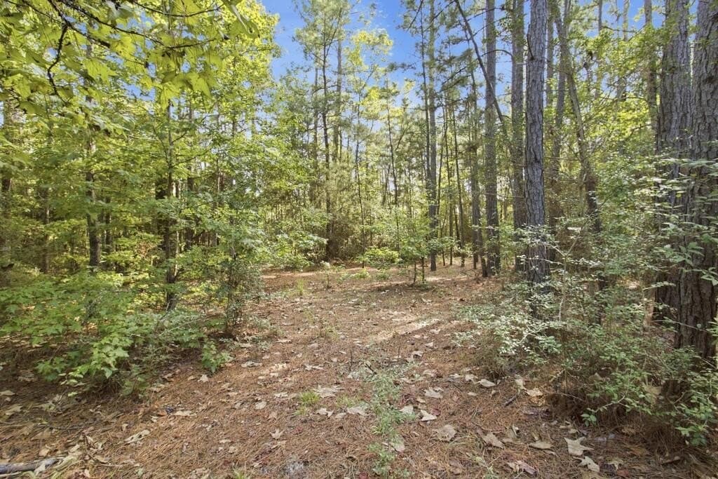 51.13 acres in Texas County - photo 18