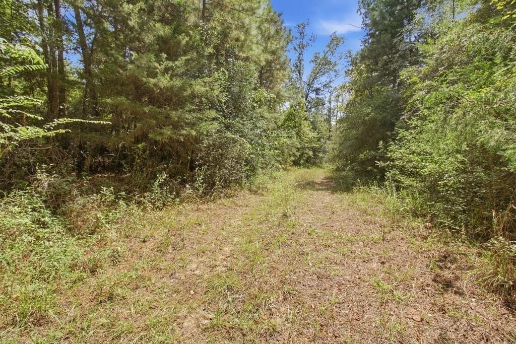 51.13 acres in Texas County - photo 20