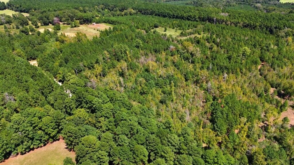 51.13 acres in Texas County - photo 7