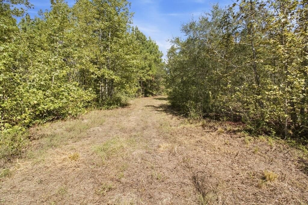 51.13 acres in Texas County - photo 17