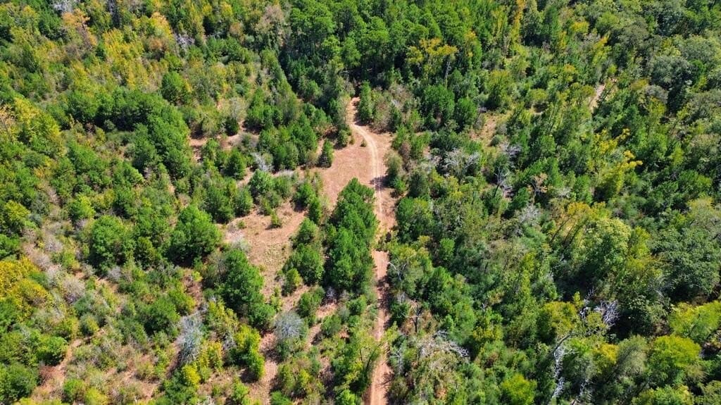 51.13 acres in Texas County - photo 8