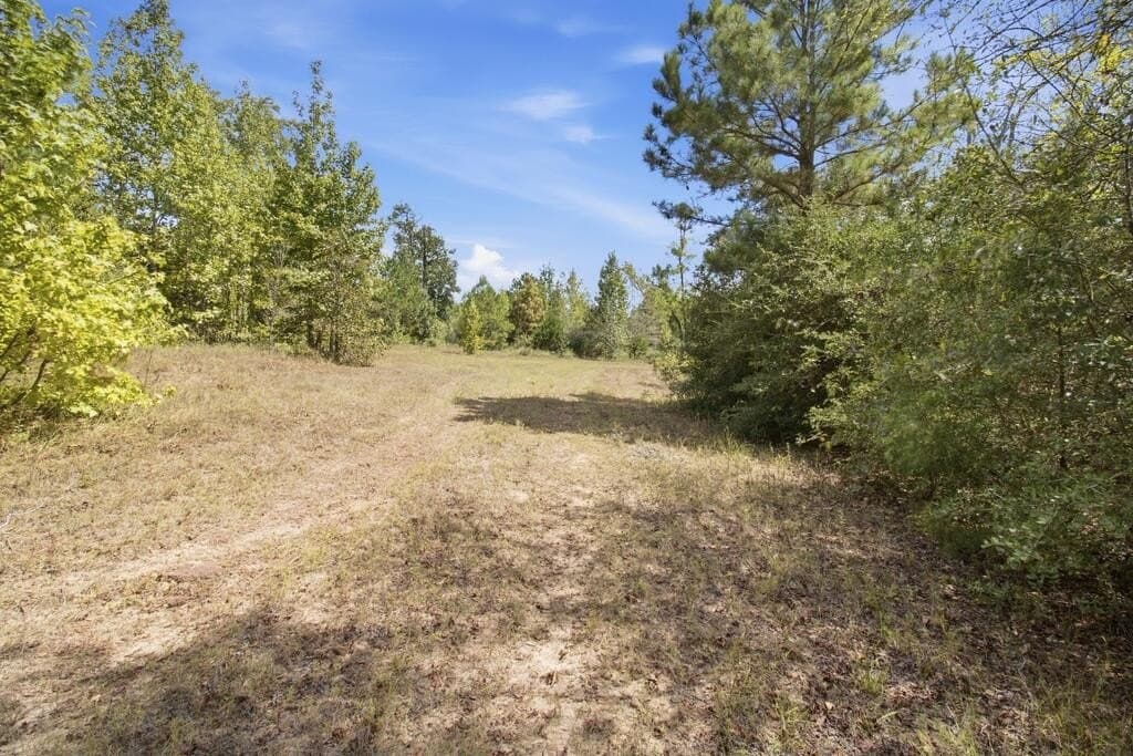 51.13 acres in Texas County - photo 14