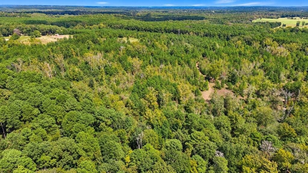 51.13 acres in Texas County - photo 2