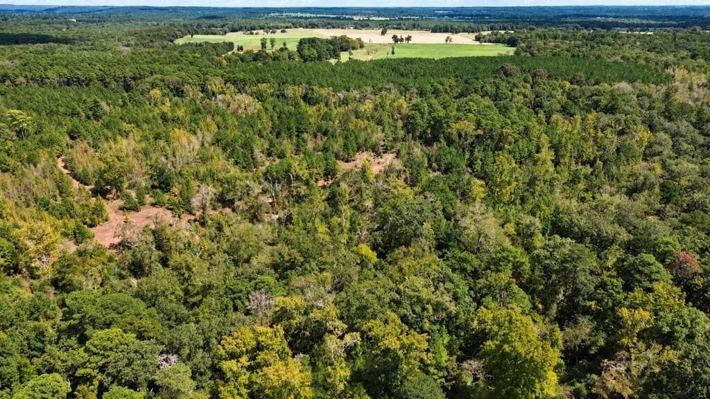 51.13 acres in Texas County - photo 6