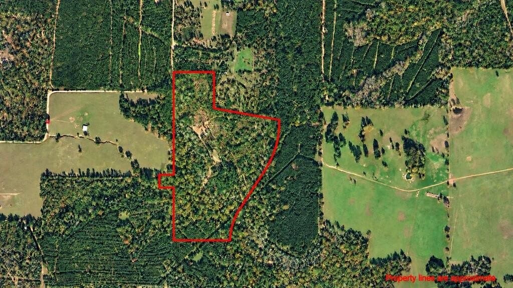 51.13 acres in Texas County - photo 5