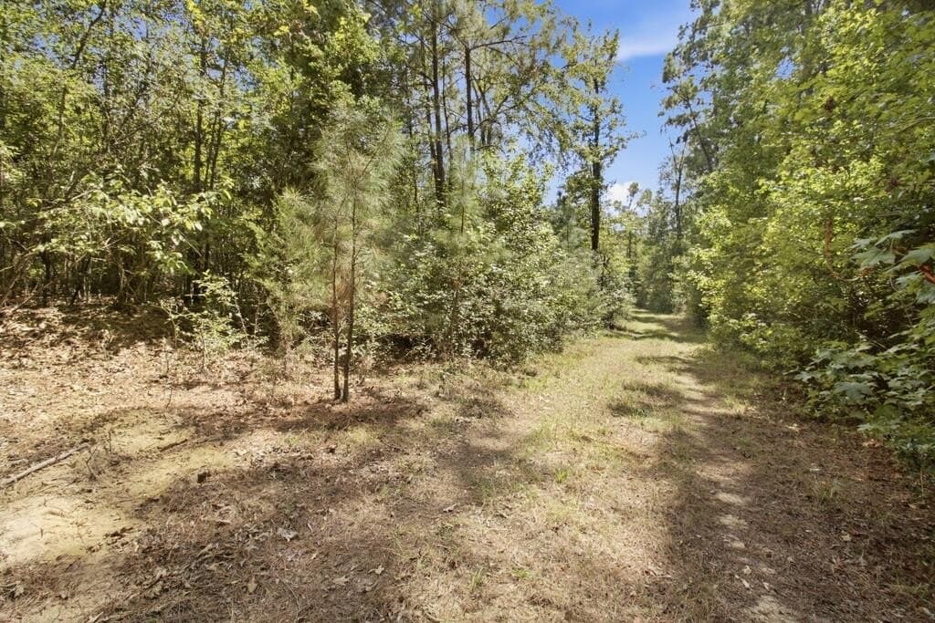 51.13 acres in Texas County - photo 16