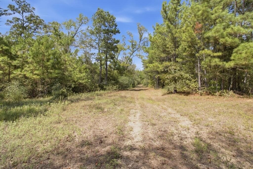 51.13 acres in Texas County - photo 15