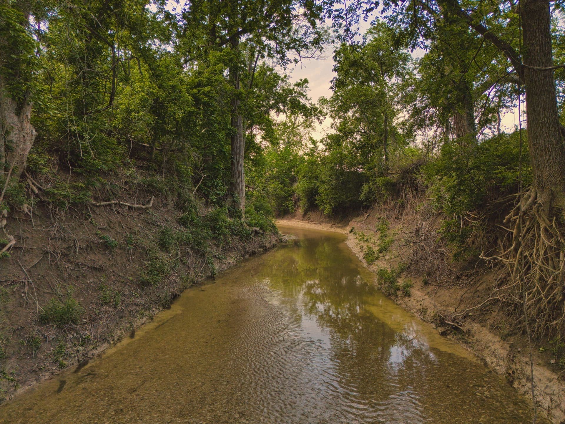 11.5 acres in Falls County - photo 16