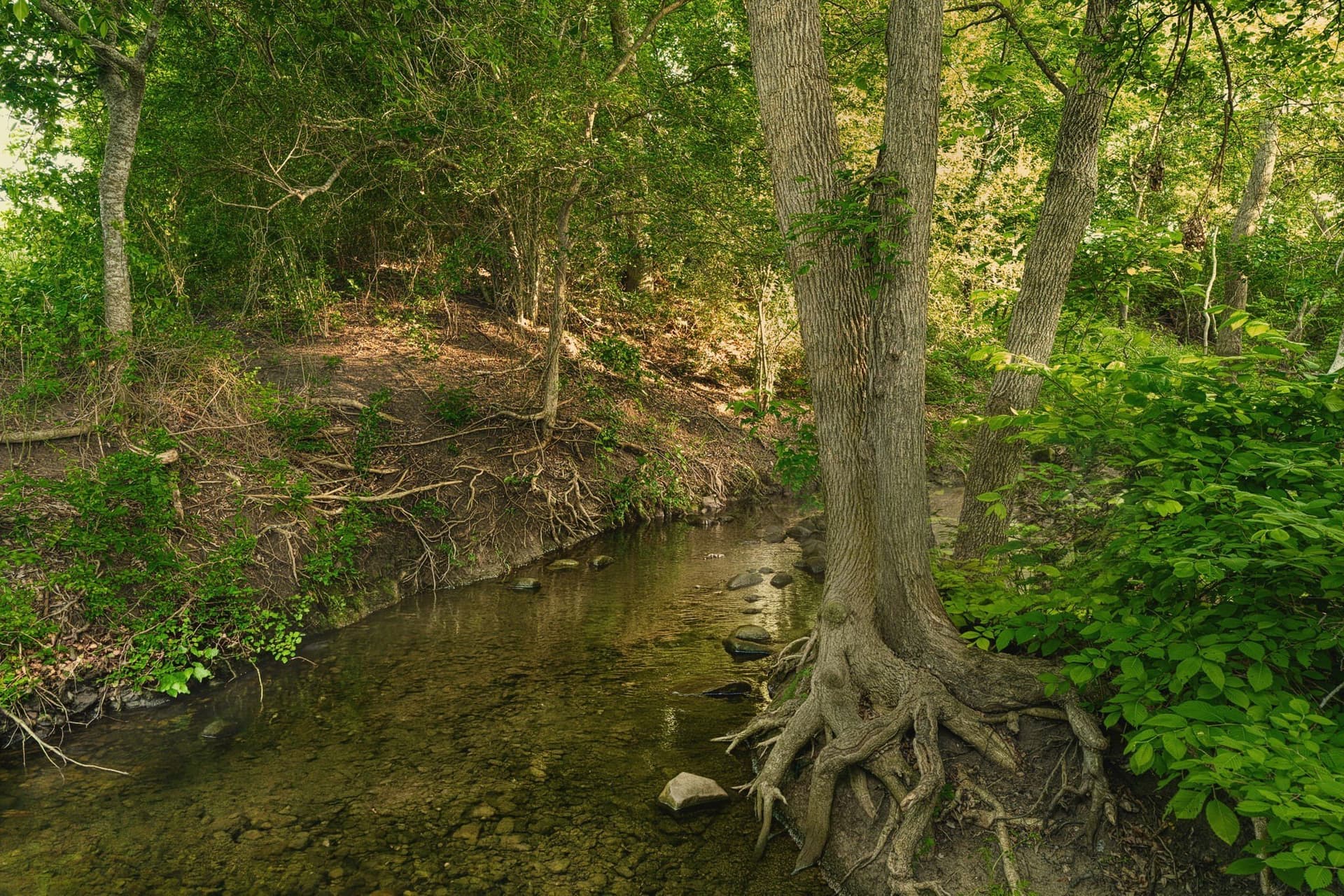 11.5 acres in Falls County - photo 17