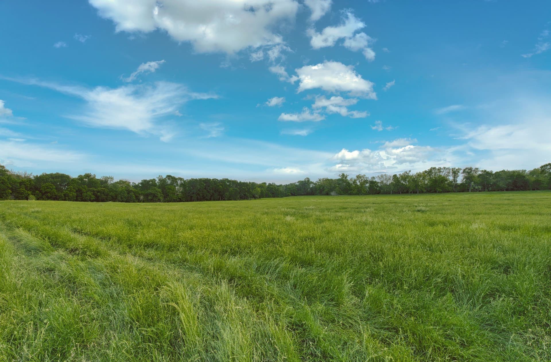 11.5 acres in Falls County - photo 13