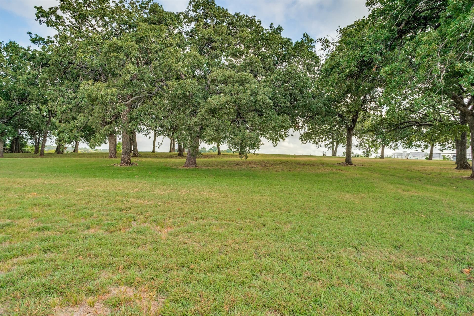 2.82 acres in Denton County gallery image 4