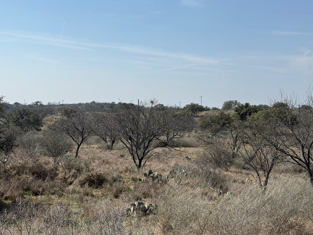10.45 acres in Llano County - photo 11