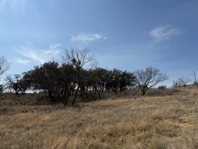 10.45 acres in Llano County - photo 7