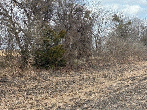 10.01 acres in Milam County - photo 6
