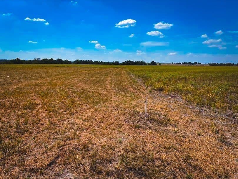 10.01 acres in Milam County - photo 3
