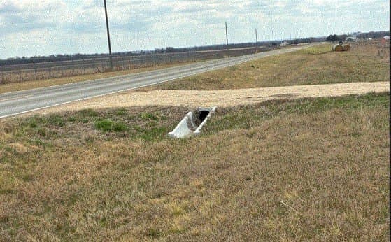 10.01 acres in Milam County - photo 7