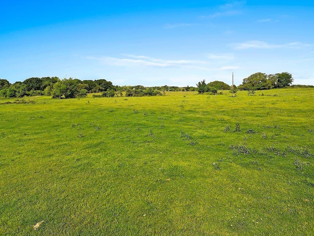 80.64 acres in Colorado County - photo 7