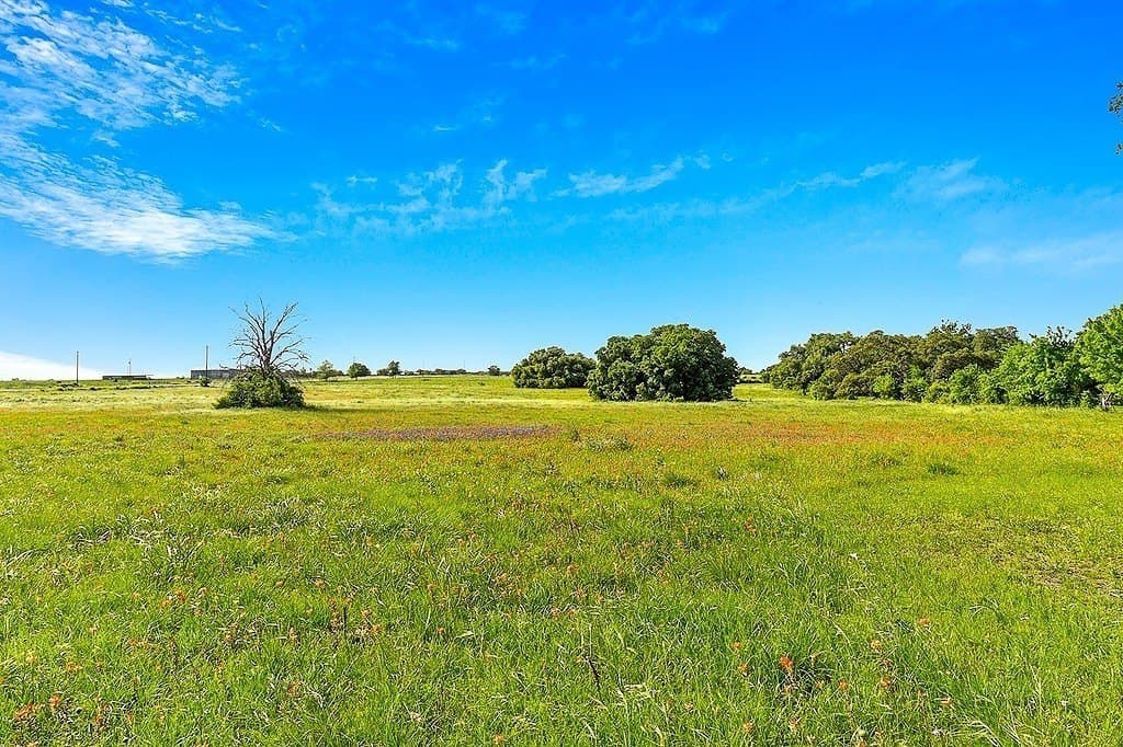 80.64 acres in Colorado County - photo 10
