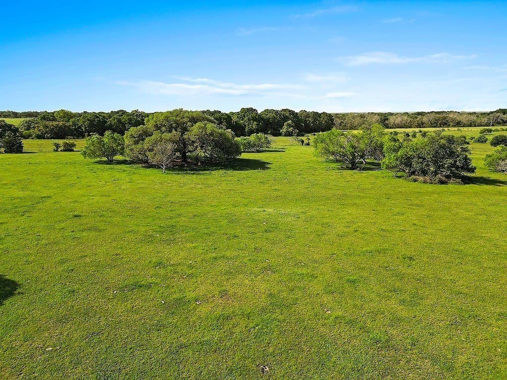 80.64 acres in Colorado County - photo 18